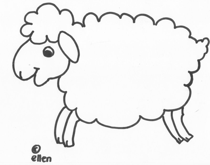 Овца раскраска для малышей