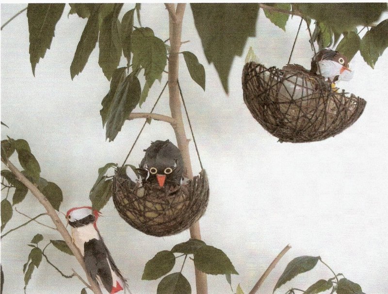 Гнездо для птиц своими руками для детского сада