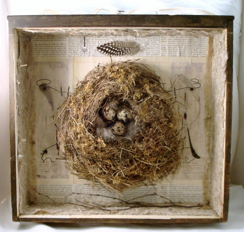 Гнездо поделка из природного материала