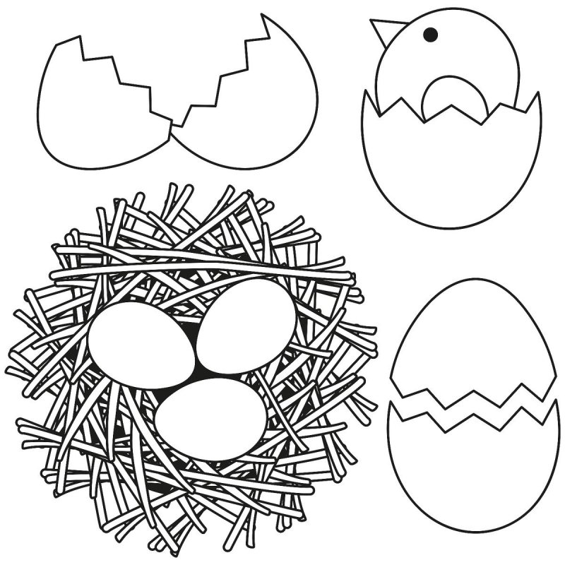 Аппликация гнездо с яйцами