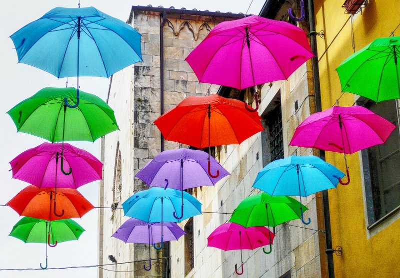 Парад разноцветных зонтов