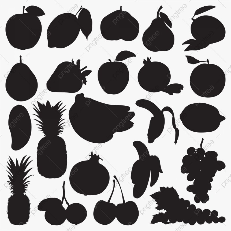 Графомоторика фрукты для детей 3-4 лет