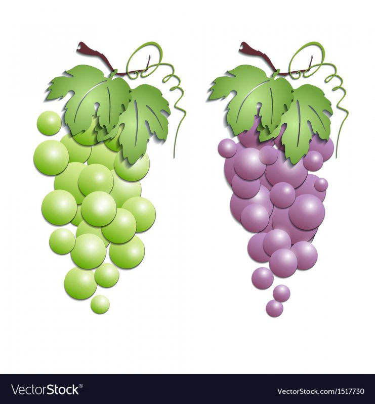 Поделка виноград из скорлупы