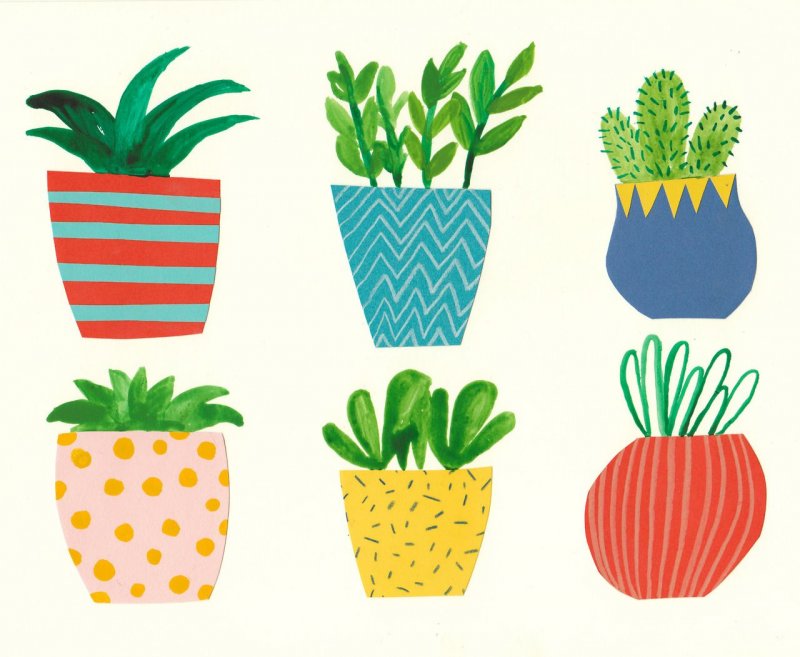 Рисование комнатные растения