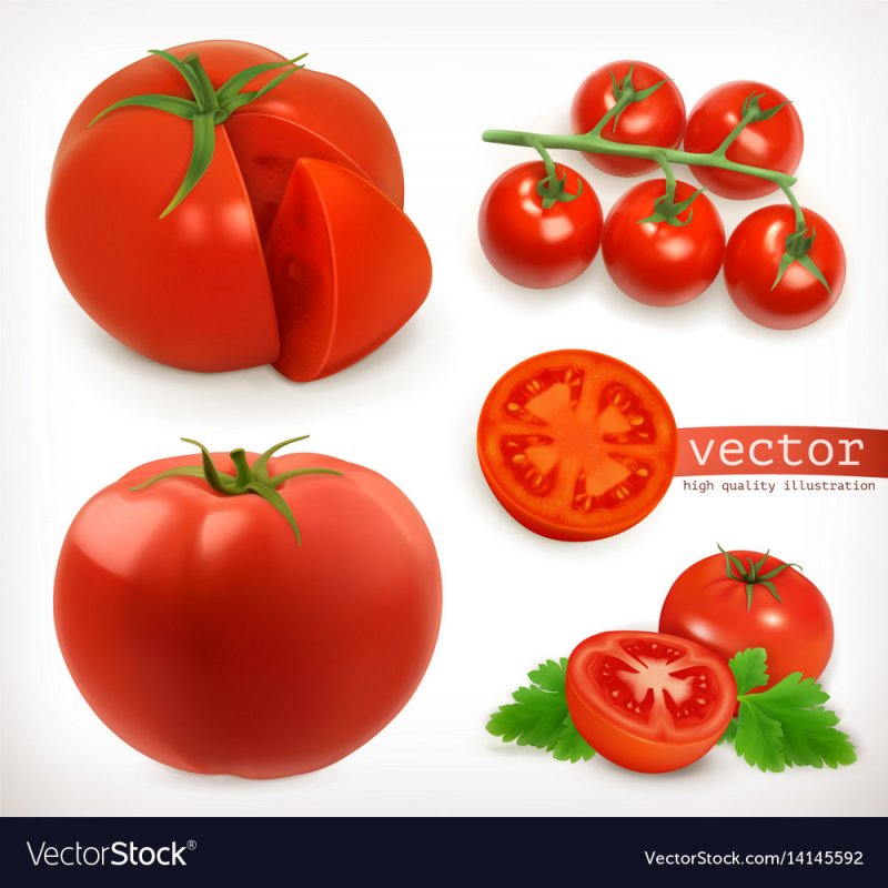 3д овощи помидоры