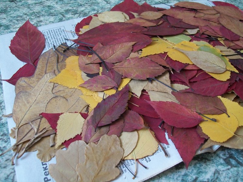Поделки осенние листья