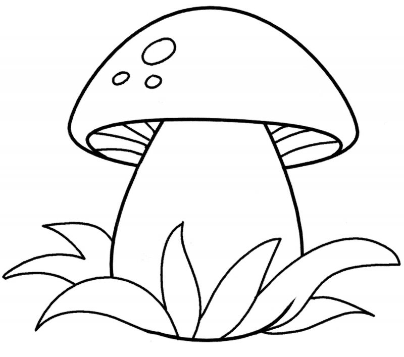 Нарисовать гриб Боровик