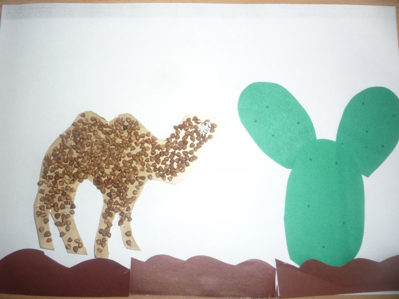 Поэтапное рисование верблюда для детей