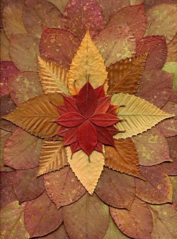Изо разноцветный ковер из листьев