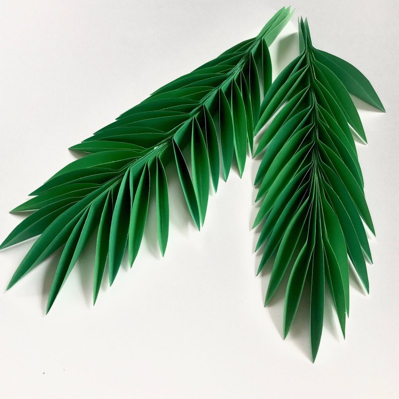 Бумажные тропические листья