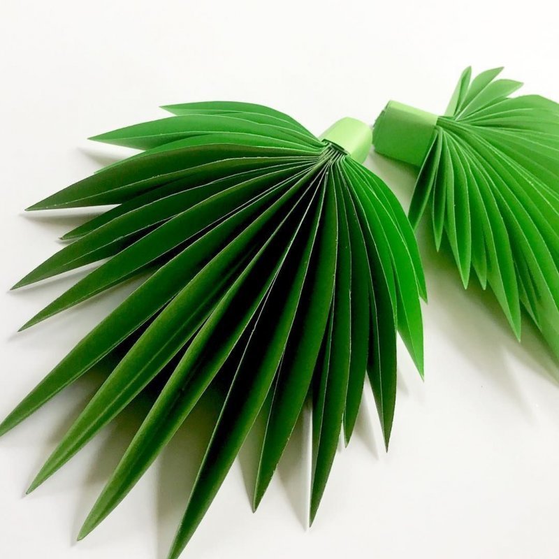 Тропические растения из бумаги