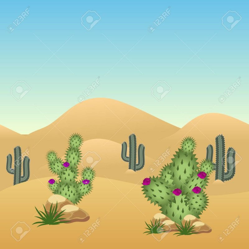 Картина пустыни для детей
