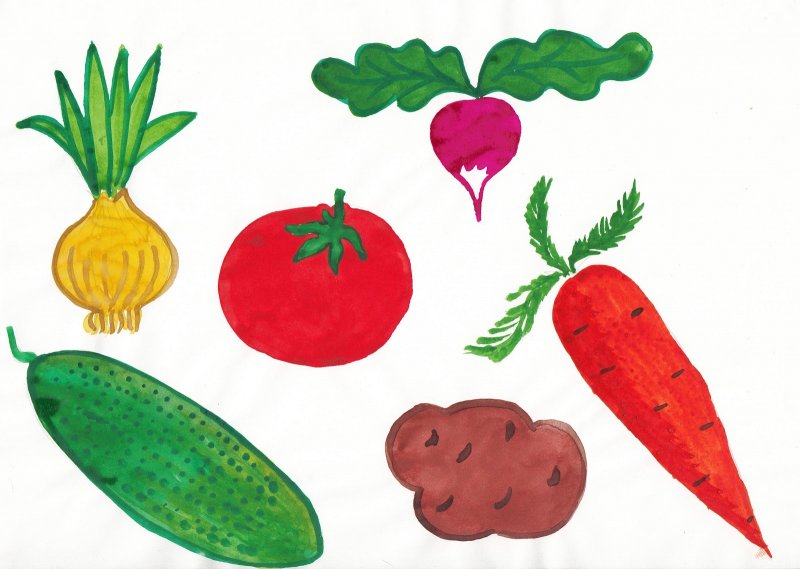Овощи и фрукты из фетра плоские
