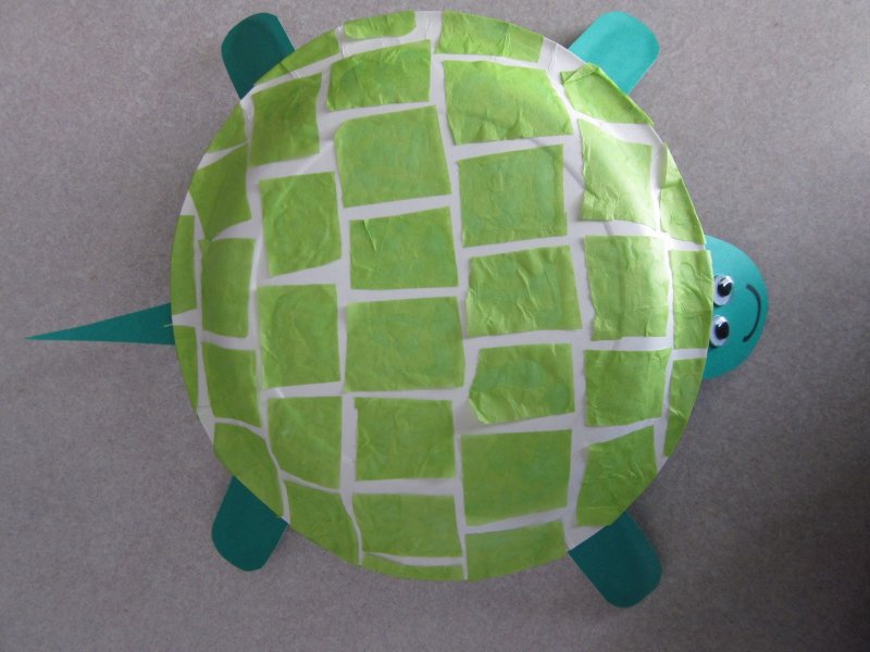 День черепахи в детском саду поделки