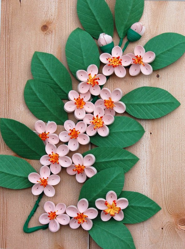 Квиллинг цветы Сакуры