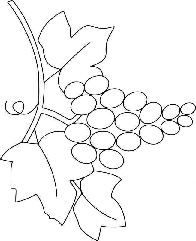 Из бросового материала фольги аппликация виноград