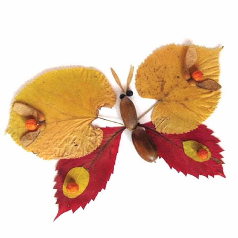 Бабочка из осенних листьев