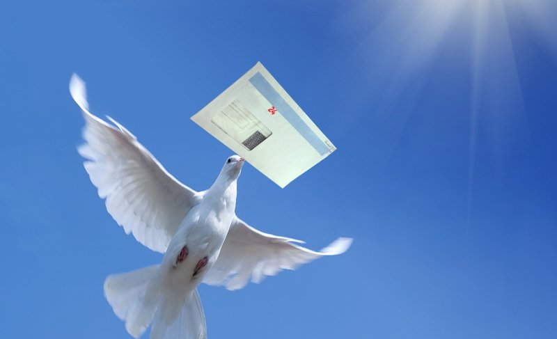 Силуэт почтового голубя