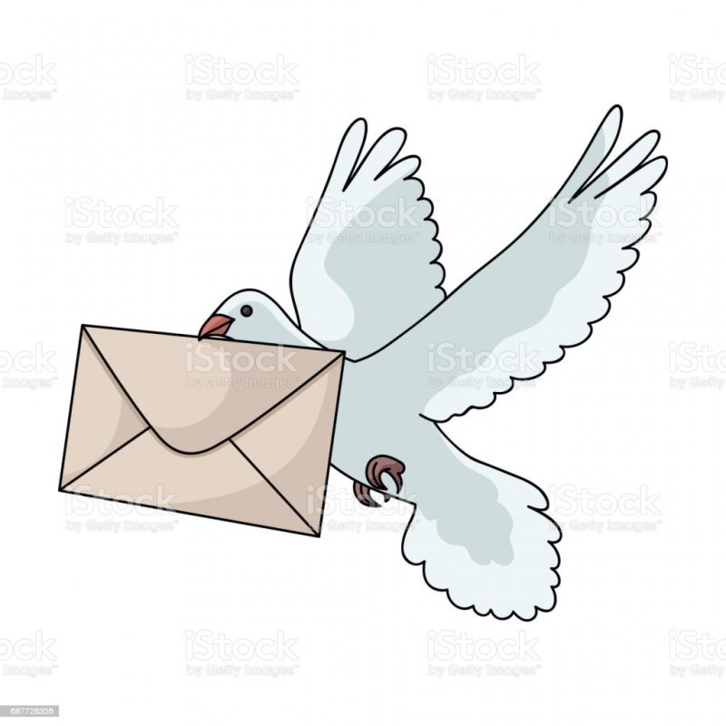 Птица с конвертом в клюве