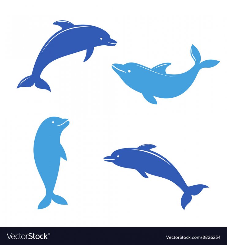 Дельфин силуэт сверху