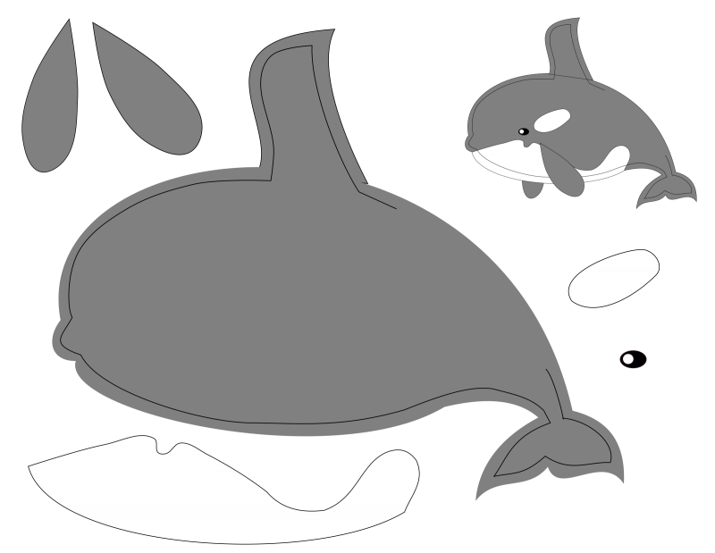 Беломордый Дельфин нарисовать