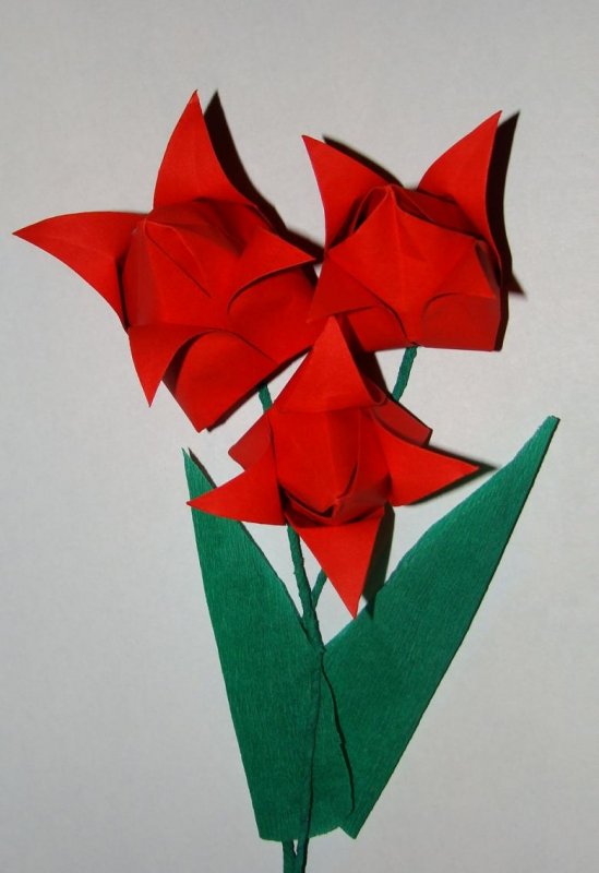 Модельные оригами тюльпан