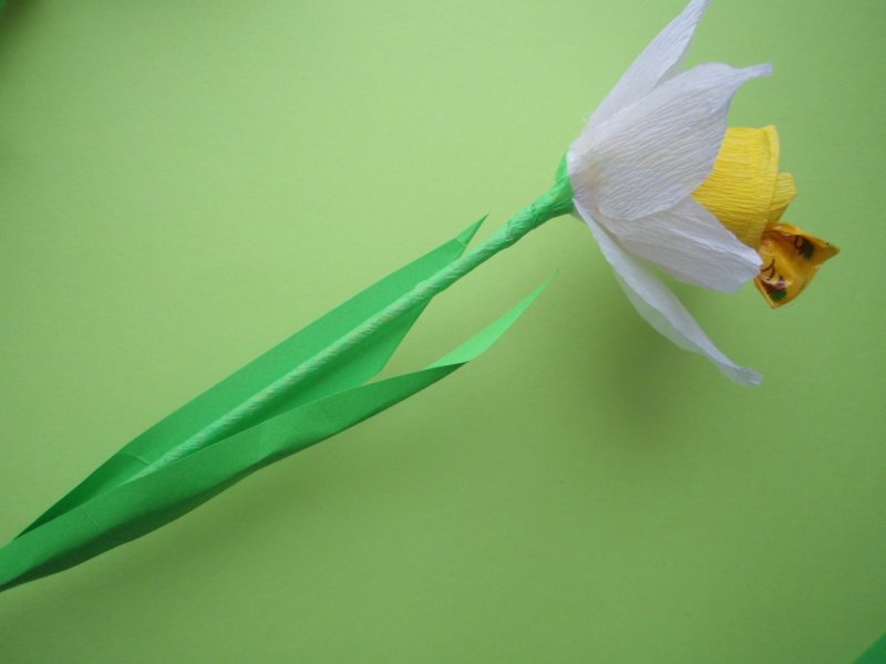 Нарцисс цветок из изолона