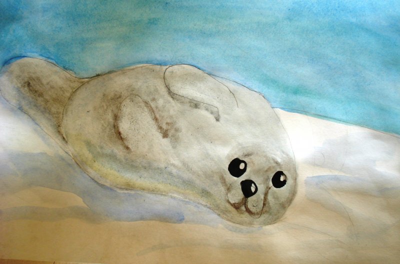 Рисование тюленя на льдине