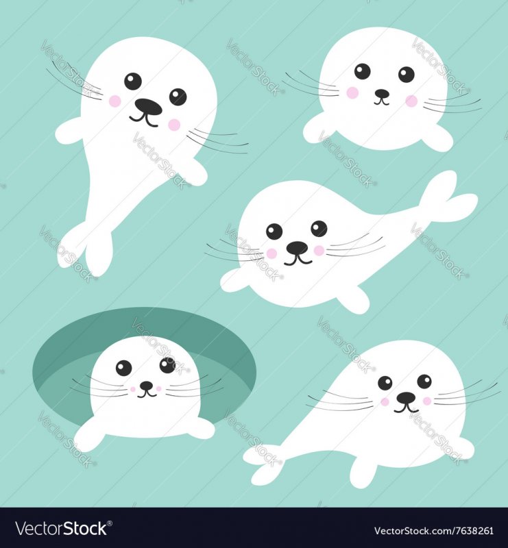 Арктические животные нарисовать морских котика