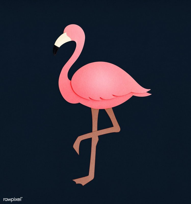 Аппликация Фламинго в детском саду