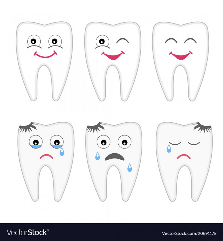 Зубы Бор иллюстрация