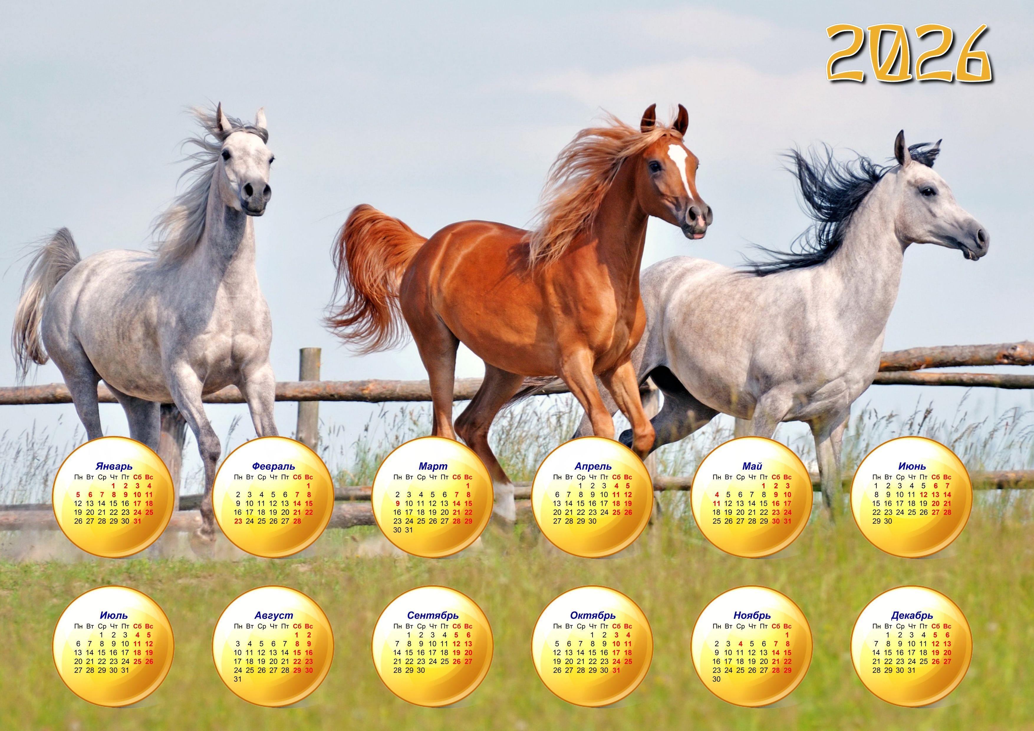 2026 по месяцам. Календарь на 2026 год. Календарь 2022 год. Год лошади 2026. Снимки. Календари, с изображениями лошадей!.