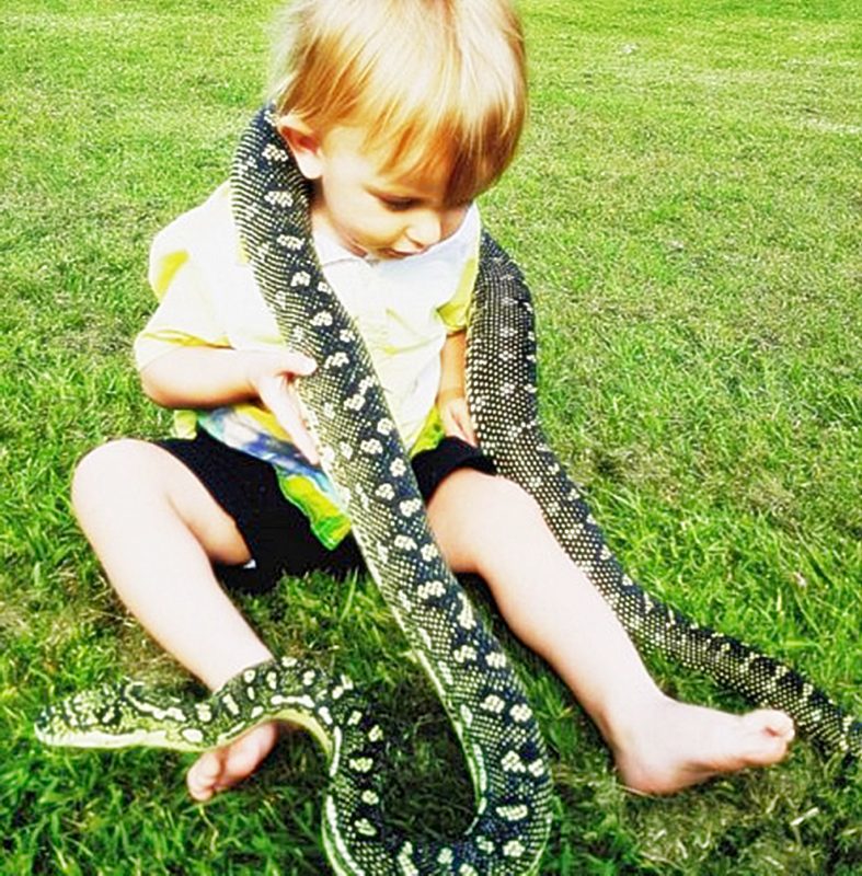 Змеи видео для детей. Змея для детей. Дети со змеями. Маленькая змея. Малыш змеи.