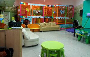 Игровая полянка в Кирове