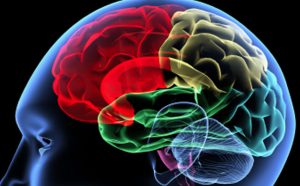 Инкубационный период серозного менингита у детей