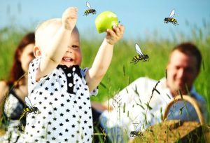 Ребёнка укусила оса